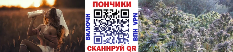 Купить наркотик аптеки Ковров Альфа ПВП  blacksprut как войти  МЕФ  ГАШИШ  Cocaine 