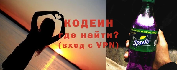 молекула духа Богородицк