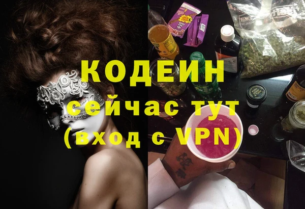 молекула духа Богородицк