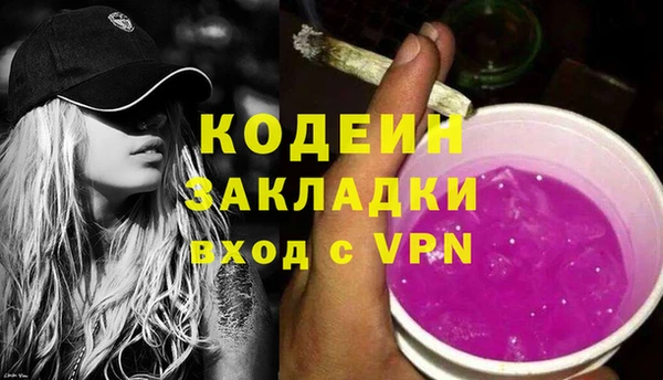 молекула духа Богородицк