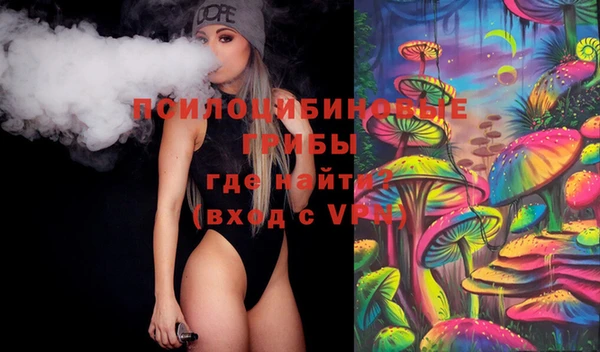 стафф Богданович