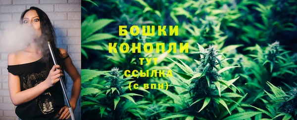 молекула духа Богородицк