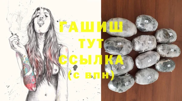 стафф Богданович