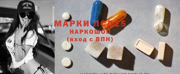 стафф Богданович