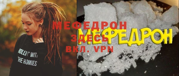 молекула духа Богородицк