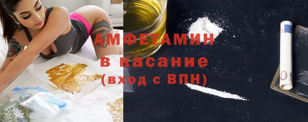 молекула духа Богородицк