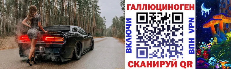 где найти Ковров мориарти формула Псилоцибиновые грибы мицелий