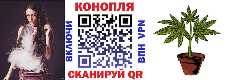 продажа наркотиков  Ковров  Шишки марихуана марихуана 
